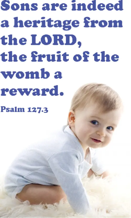Year B After Pentecost Proper 27