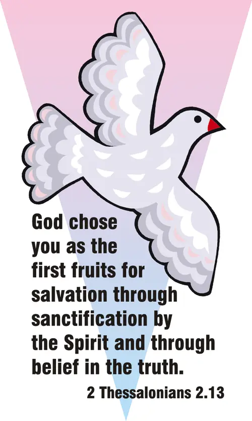 Year C After Pentecost Proper 27