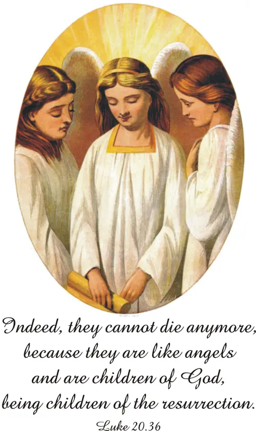 Year C After Pentecost Proper 27