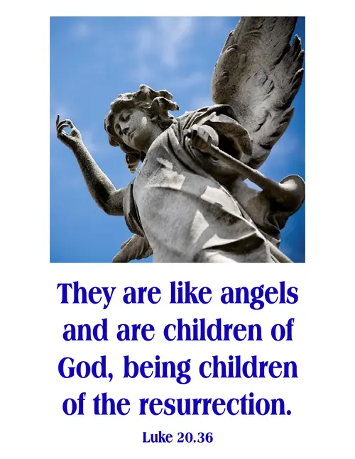 Proper27C7go