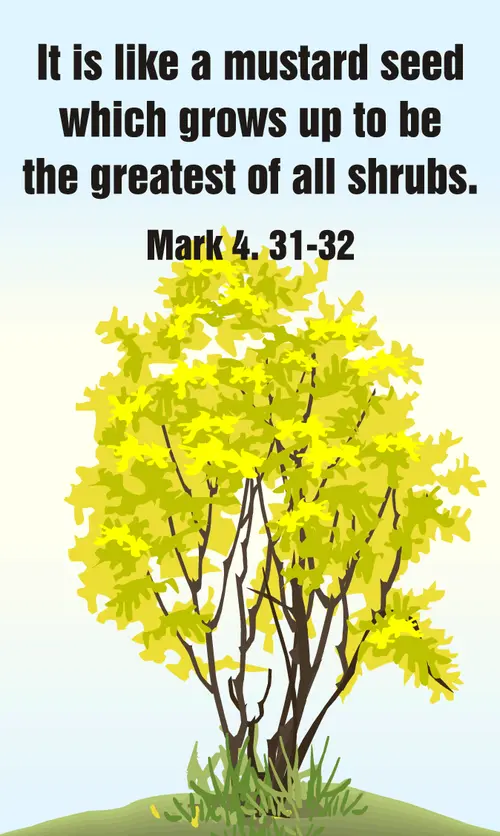 Year B After Pentecost Proper 6