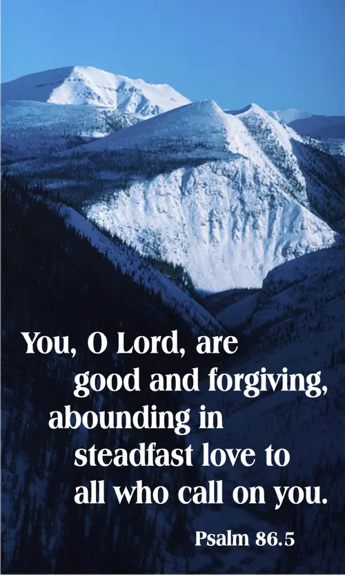 Year A After Pentecost Proper 7