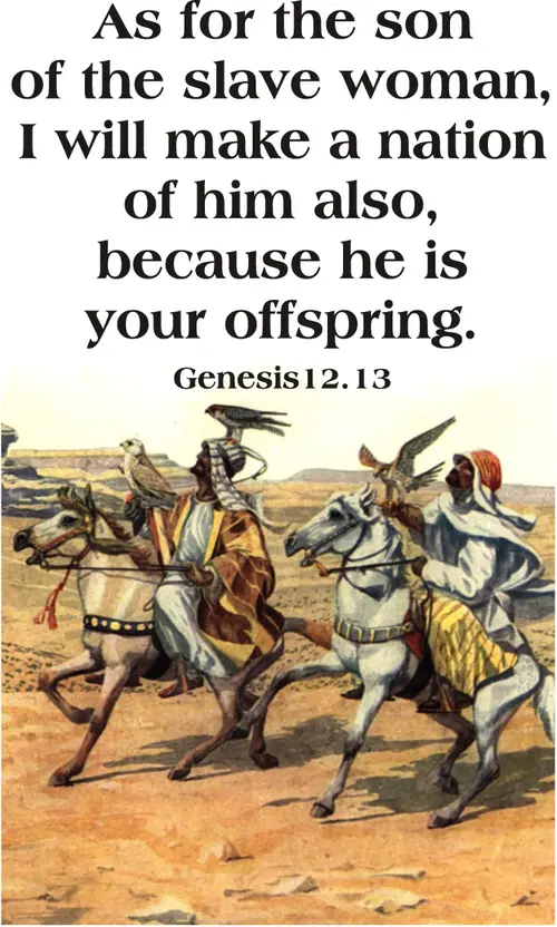 Year A After Pentecost Proper 7