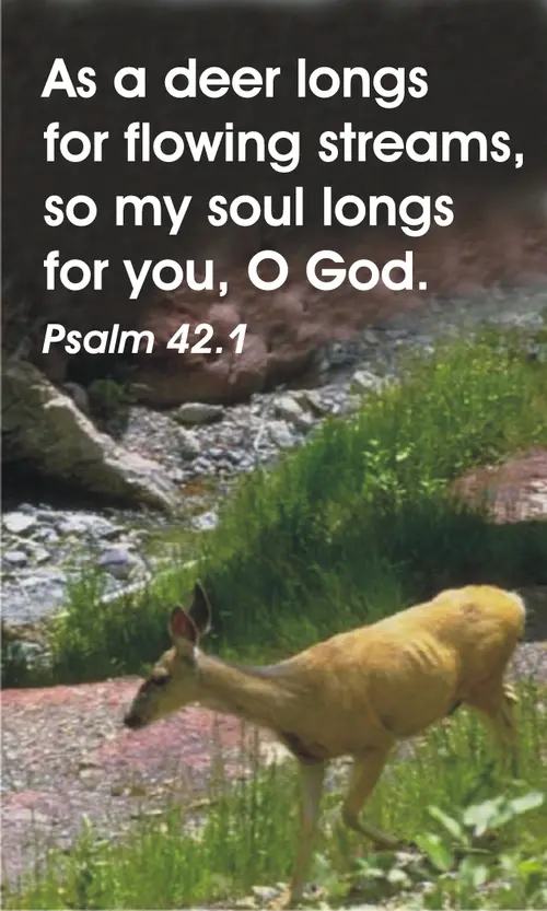 Year C After Pentecost Proper 7