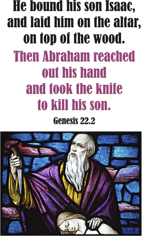 Year A After Pentecost Proper 8