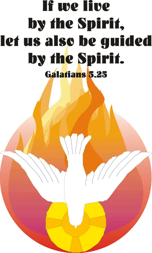 Year C After Pentecost Proper 8