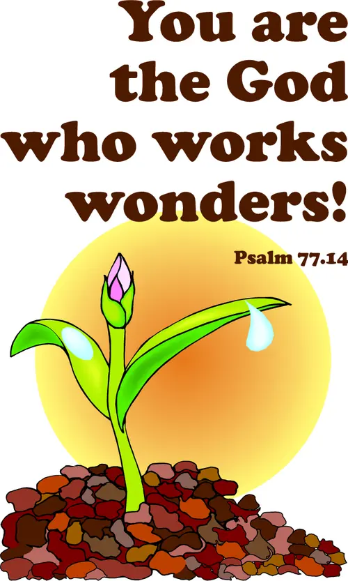 Year C After Pentecost Proper 8