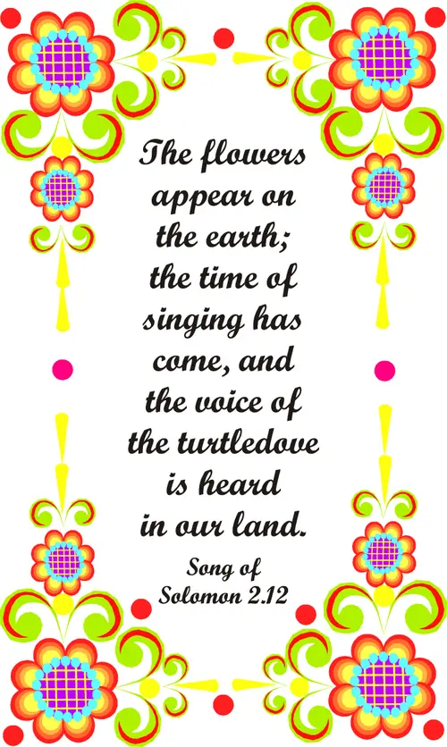 Year A After Pentecost Proper 9