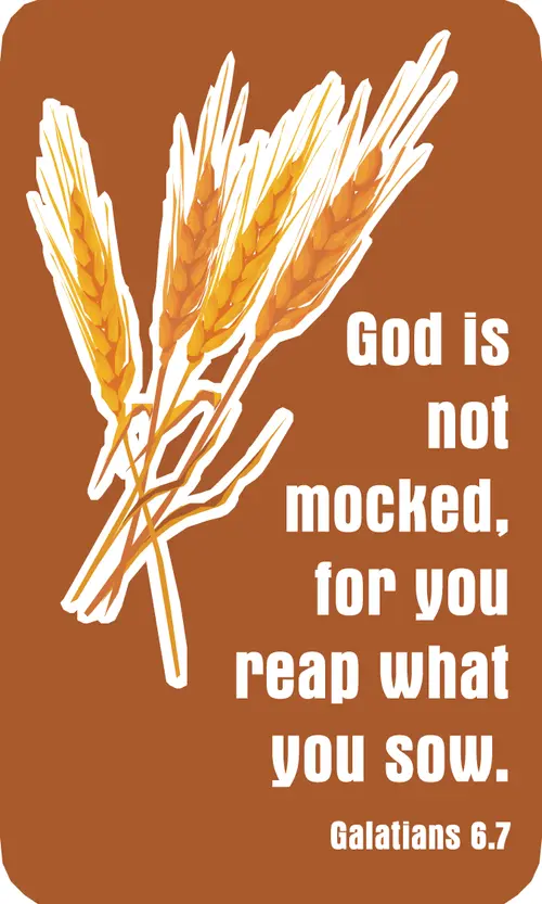Year C After Pentecost Proper 9