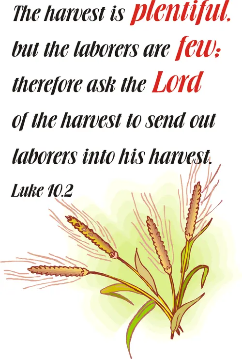 Year C After Pentecost Proper 9