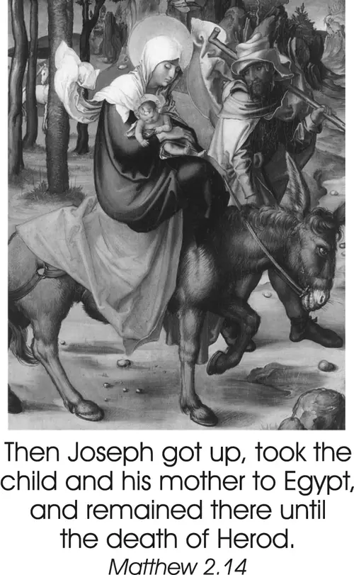 Year C Advent Fourth Sunday (grayscale)