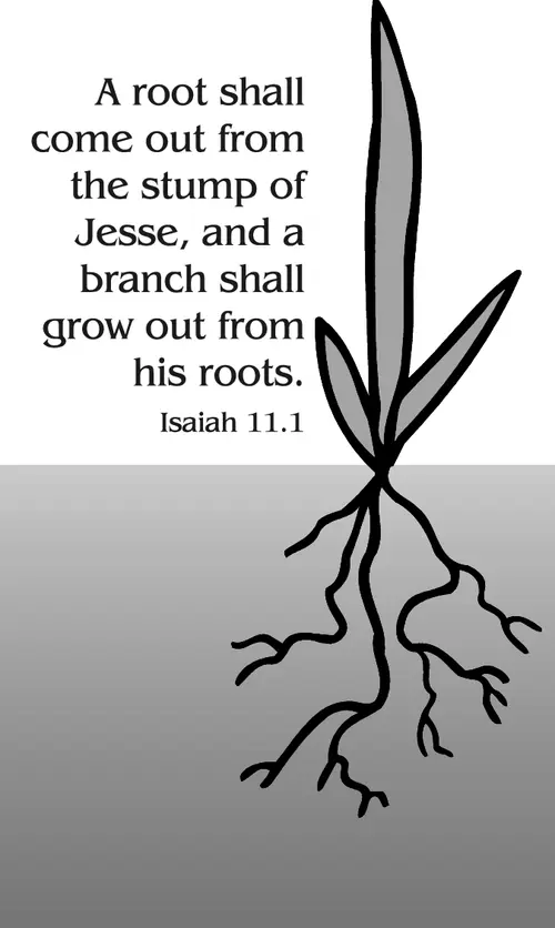 Year A Advent Second Sunday (grayscale)