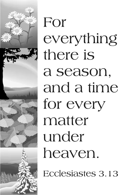 Year B Christmas First Sunday After Christmas (grayscale)