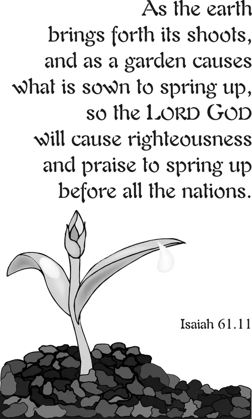 Year B Christmas First Sunday After Christmas (grayscale)
