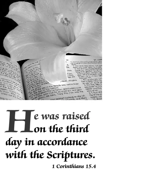 Easter B (grayscale)