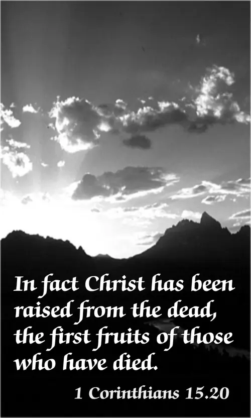 Year C Easter Easter Sunday (grayscale)