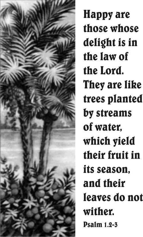 Year C Epiphany Sixth Sunday (grayscale)