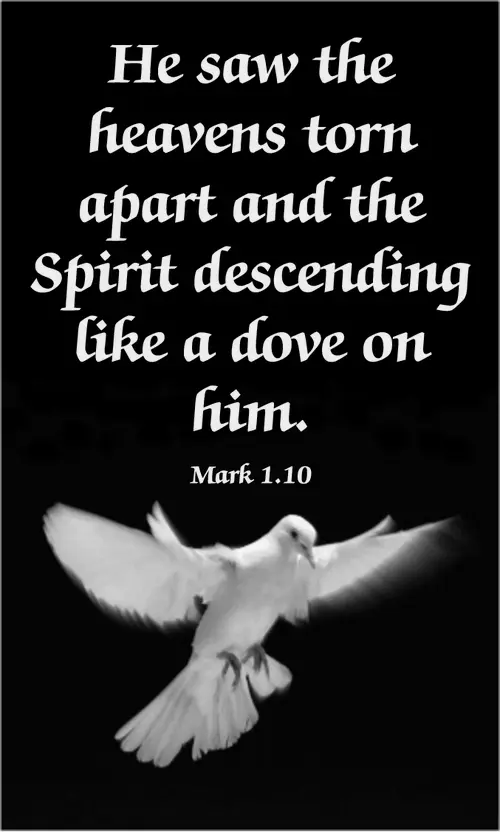 Year B Lent First Sunday (grayscale)