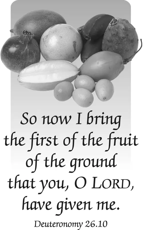 Year C Lent First Sunday (grayscale)
