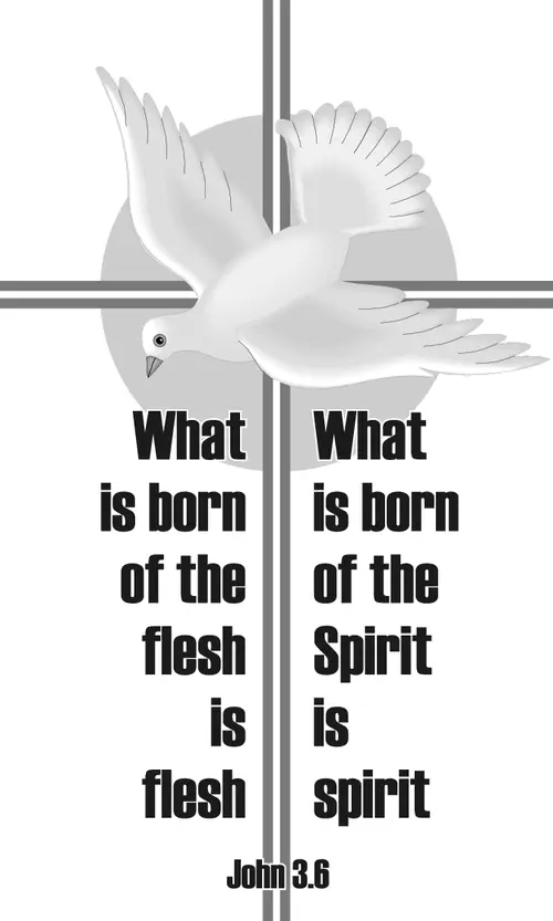 Year A Lent Second Sunday (grayscale)