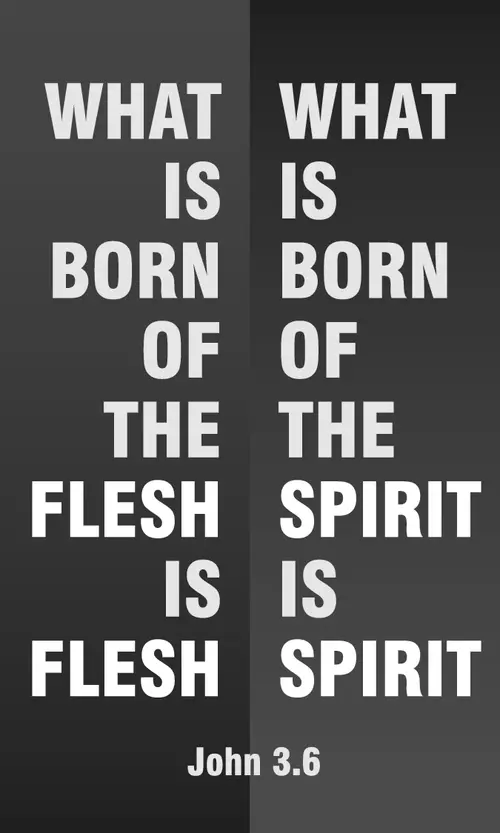 Year A Lent Second Sunday (grayscale)