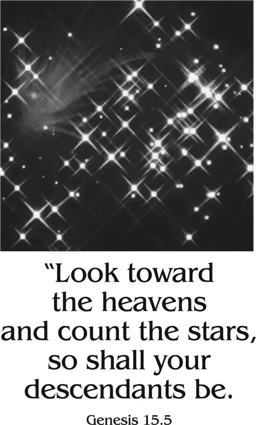 Year C Lent Second Sunday (grayscale)