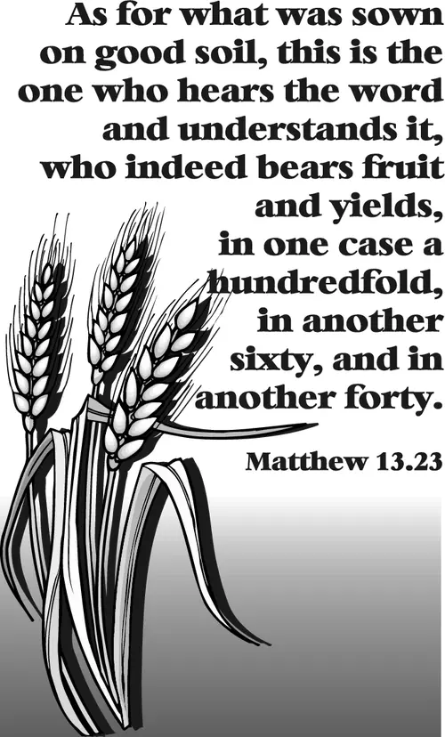 Year A After Pentecost Proper 10 (grayscale)