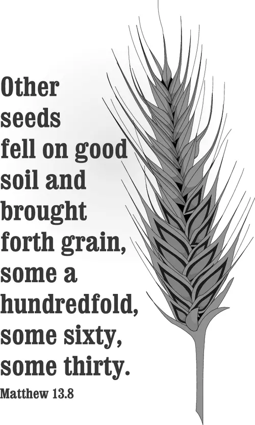 Year A After Pentecost Proper 10 (grayscale)