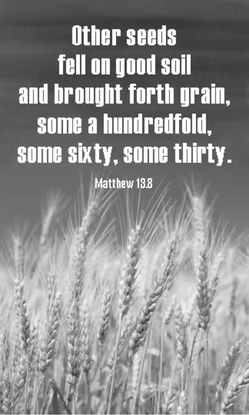 Year A After Pentecost Proper 10 (grayscale)