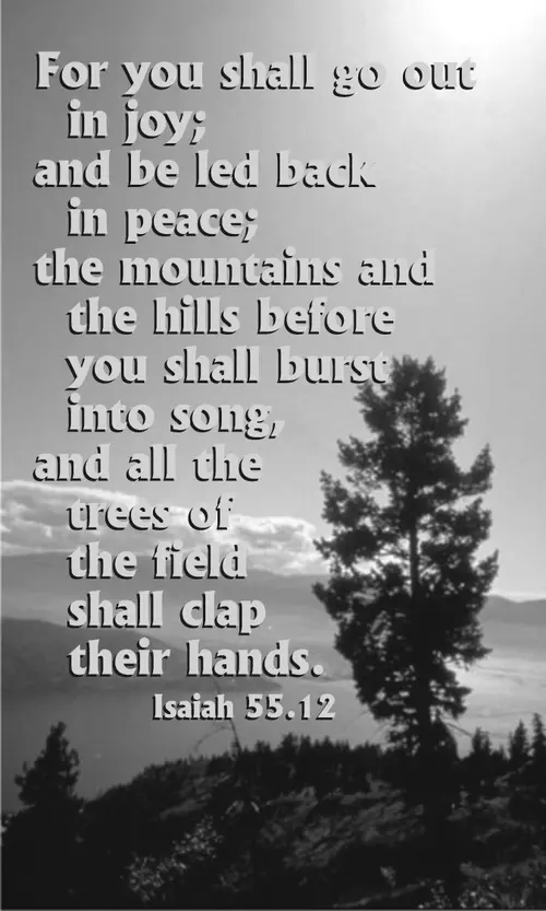 Year A After Pentecost Proper 10 (grayscale)