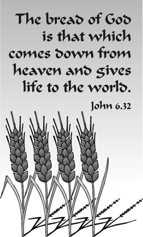 Year B After Pentecost Proper 13 (grayscale)