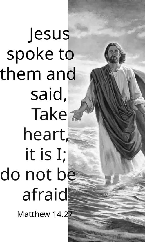 Year A After Pentecost Proper 14 (grayscale)