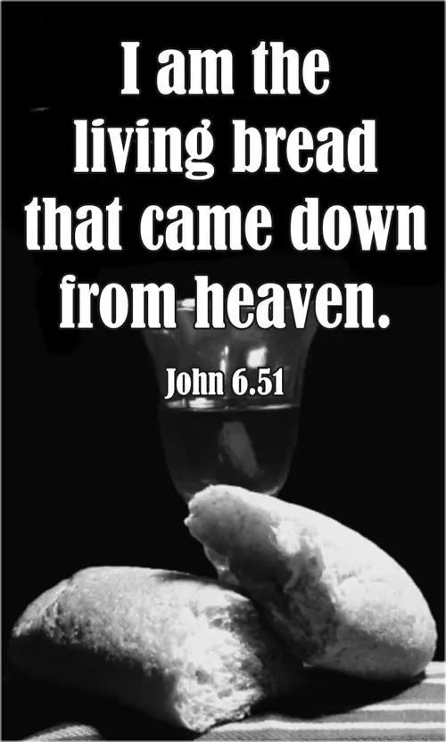 Year B After Pentecost Proper 14 (grayscale)