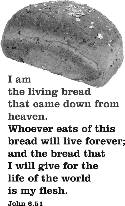 Year B After Pentecost Proper 14 (grayscale)