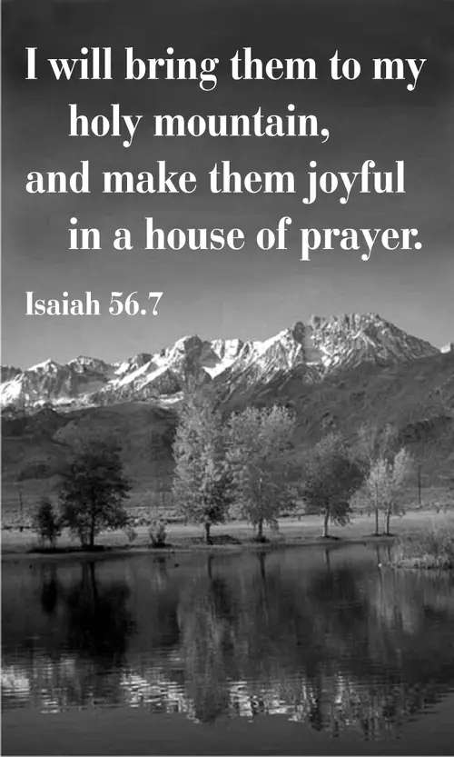 Year A After Pentecost Proper 15 (grayscale)