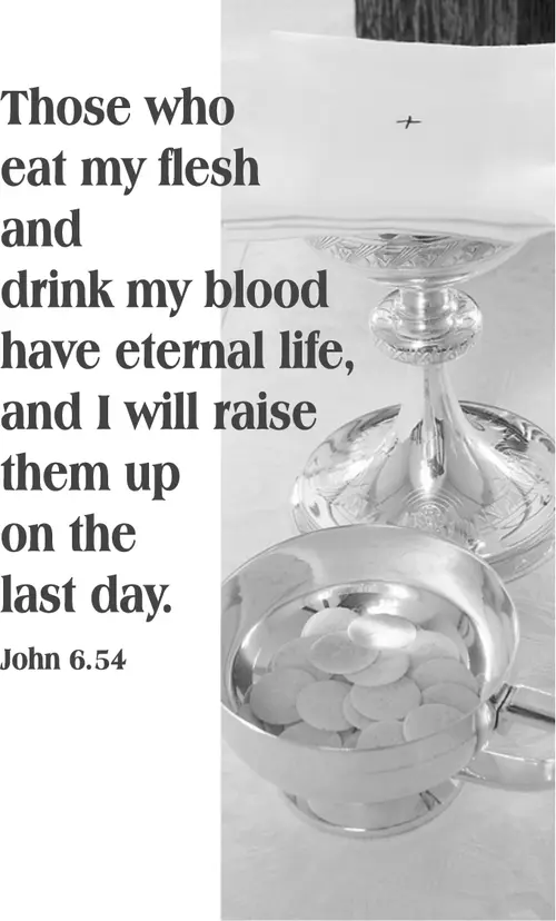 Year B After Pentecost Proper 15 (grayscale)