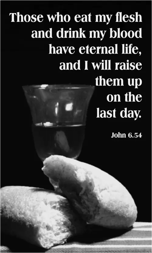 Year B After Pentecost Proper 15 (grayscale)