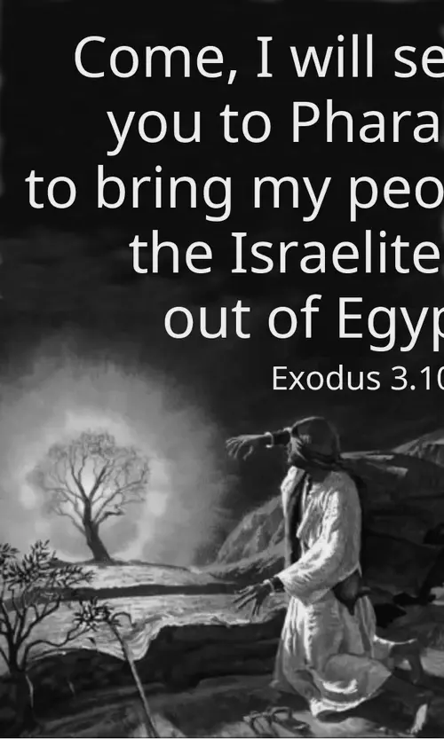 Year A After Pentecost Proper 17 (grayscale)