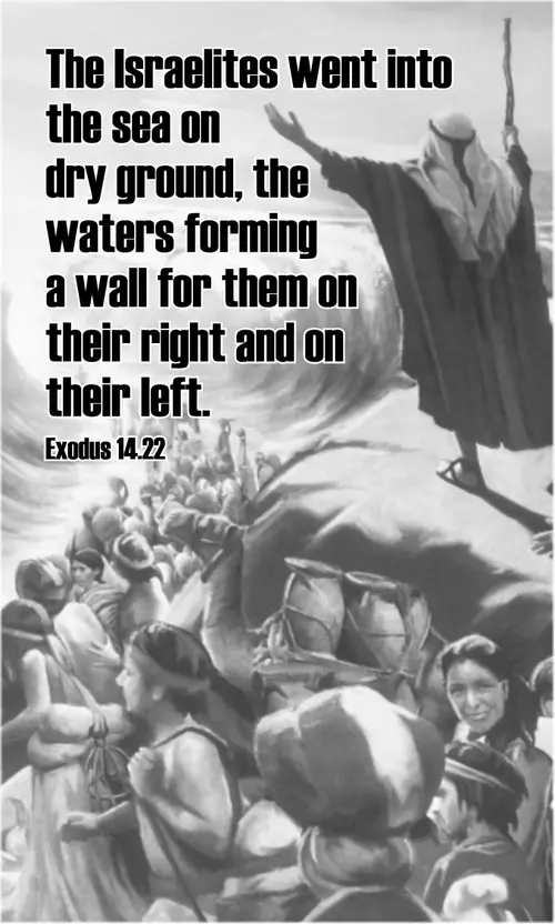Year A After Pentecost Proper 19 (grayscale)