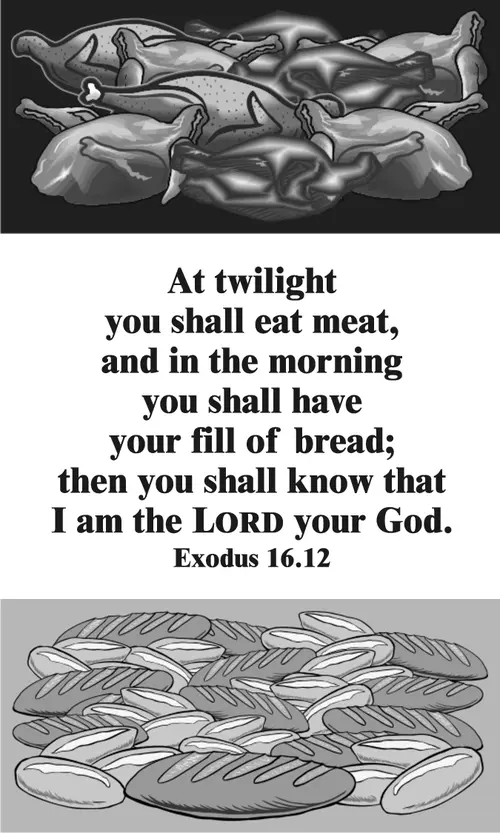 Year A After Pentecost Proper 20 (grayscale)