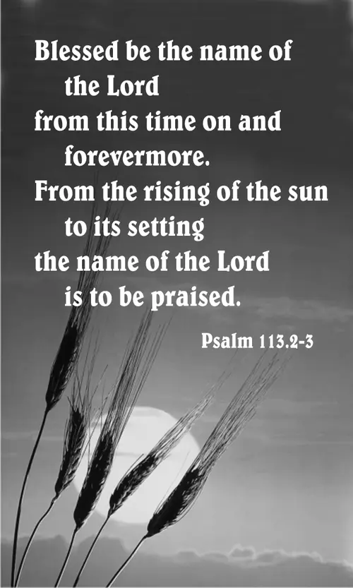 Year C After Pentecost Proper 20 (grayscale)