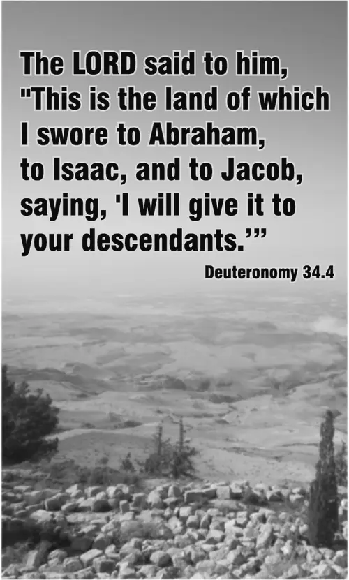 Year A After Pentecost Proper 25 (grayscale)