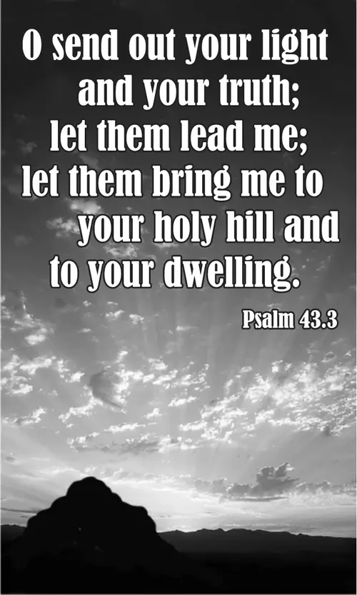 Year A After Pentecost Proper 26 (grayscale)