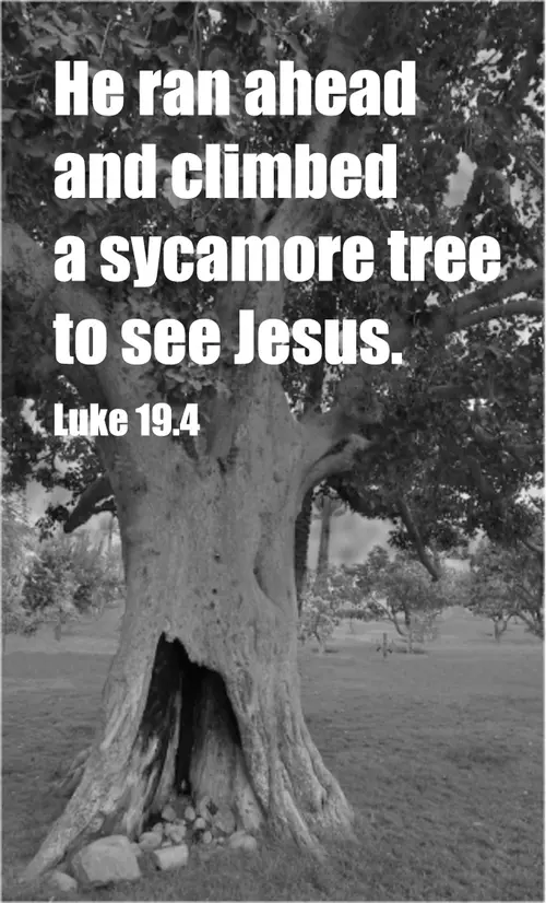 Year C After Pentecost Proper 26 (grayscale)