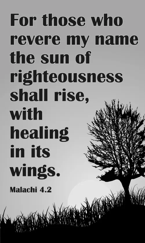 Year C After Pentecost Proper 28 (grayscale)