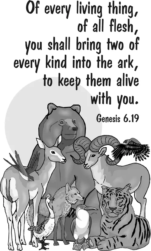 Year A After Pentecost Proper 4 (grayscale)