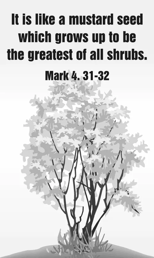 Year B After Pentecost Proper 6 (grayscale)