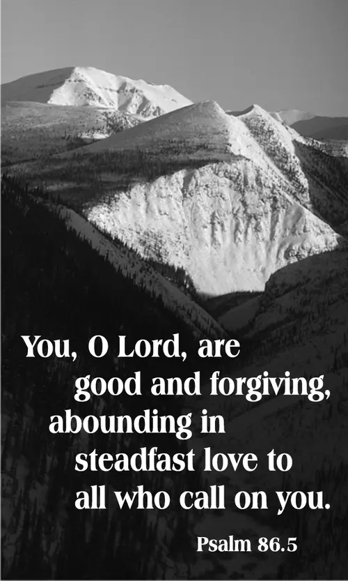 Year A After Pentecost Proper 7 (grayscale)