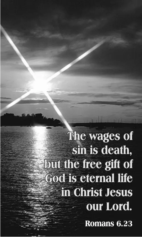 Year A After Pentecost Proper 8 (grayscale)