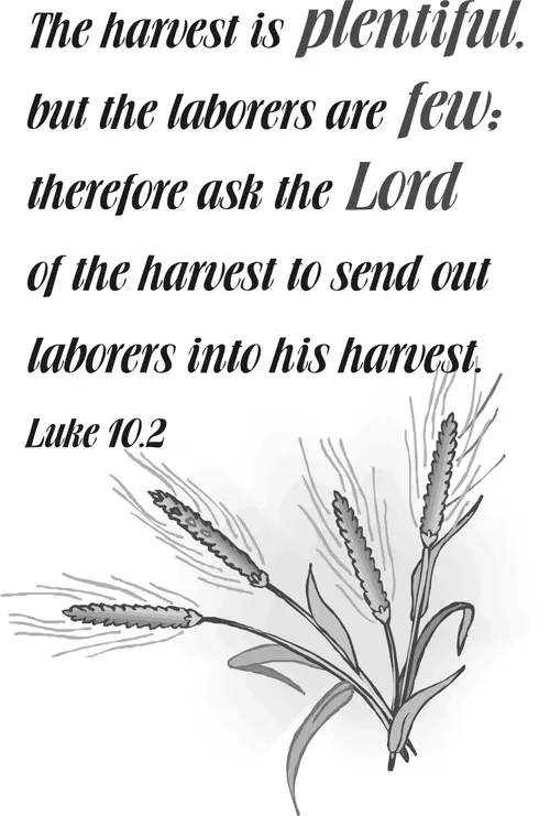 Year C After Pentecost Proper 9 (grayscale)